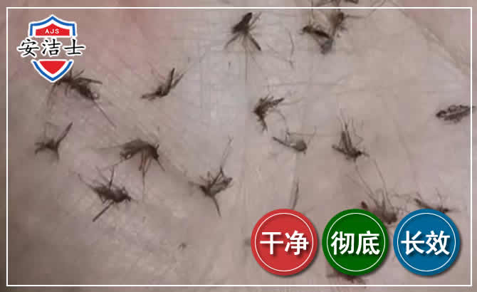 临海蚊子防治-灭蚊