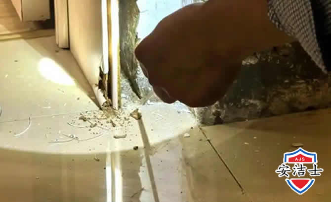 临海房屋建筑防治白蚁