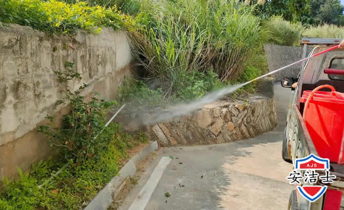 临海道路堤坝白蚁防治