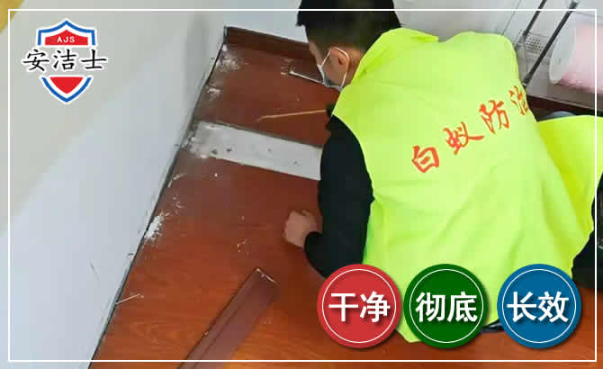 临海除四害现场