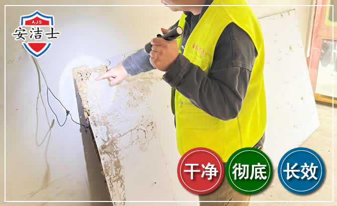 临海除白蚁现场