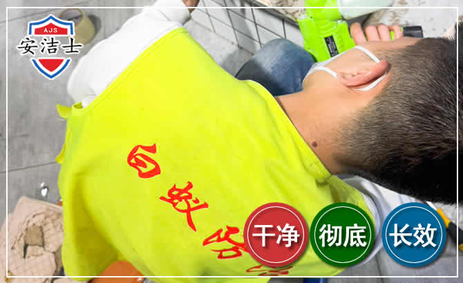 临海白蚁根治现场